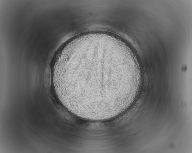 X0000102361219200808291217