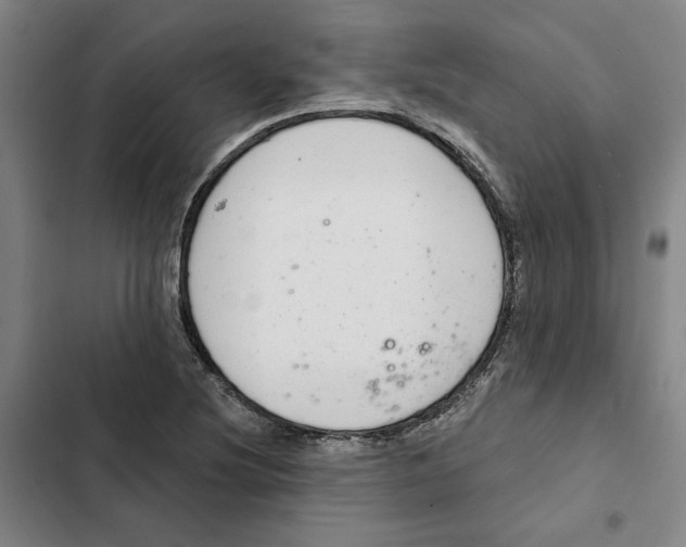 X0000102361220200808291217