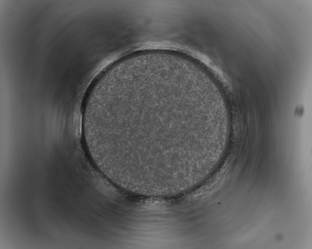 X0000102361221200808291217