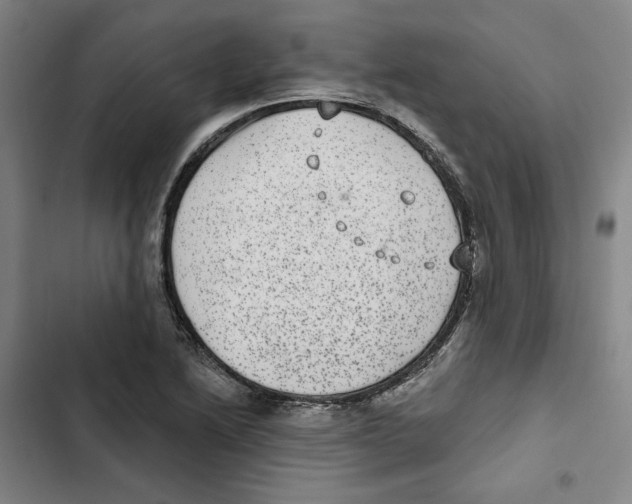 X0000102361222200808291217