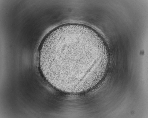 X0000102361223200808291217