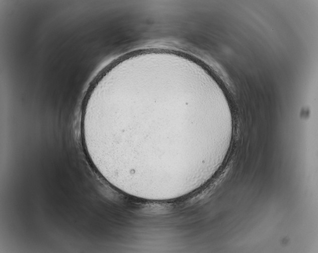 X0000102361224200808291217