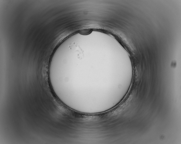 X0000102361225200808291217