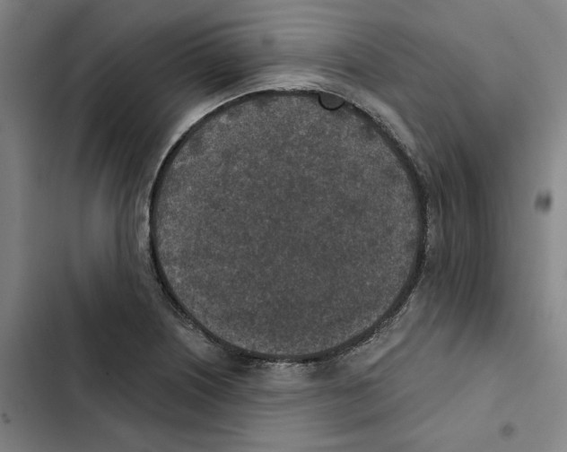 X0000102361226200808291217