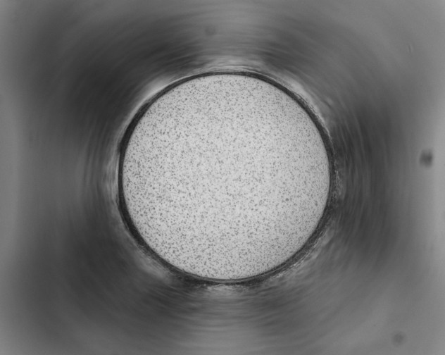 X0000102361227200808291217