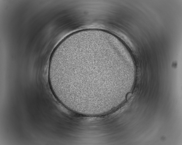 X0000102361228200808291217