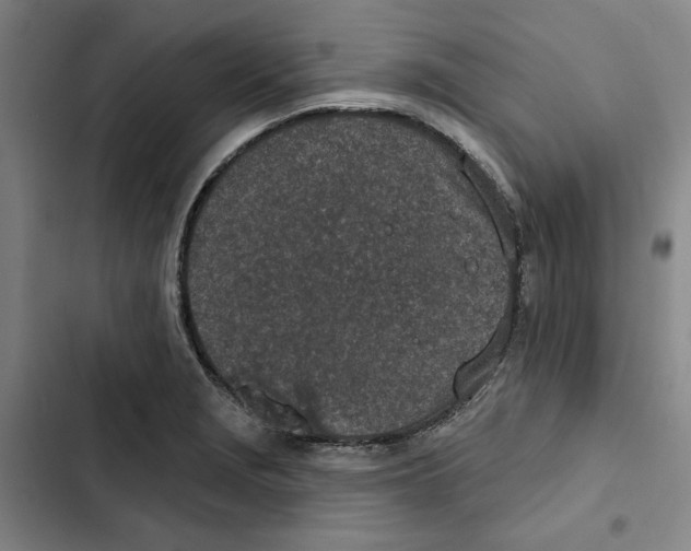 X0000102361229200808291217