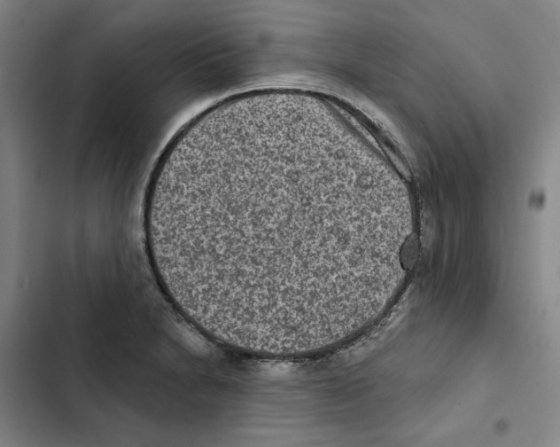 X0000102361230200808291217