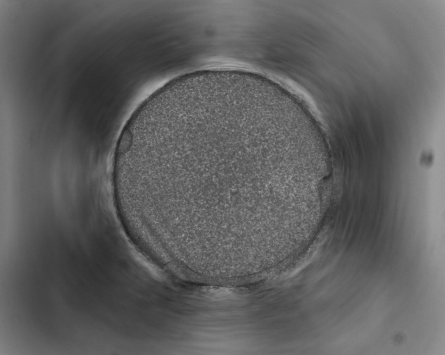 X0000102361231200808291217