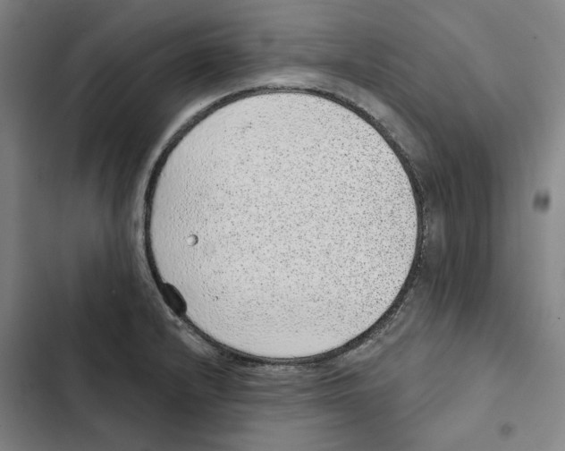 X0000102361232200808291217