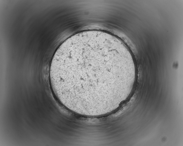 X0000102361233200808291217