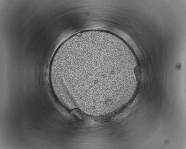 X0000102361234200808291217