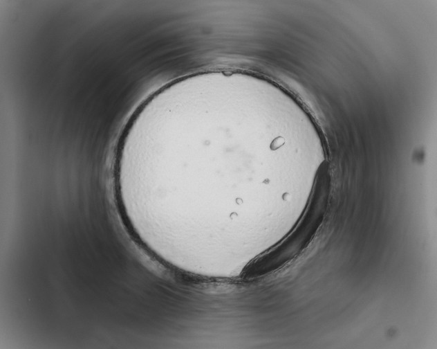 X0000102361235200808291217