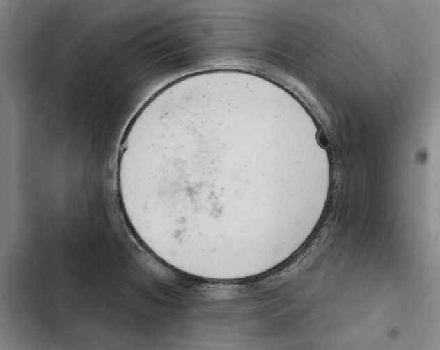 X0000102361236200808291217