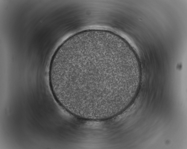 X0000102361237200808291217