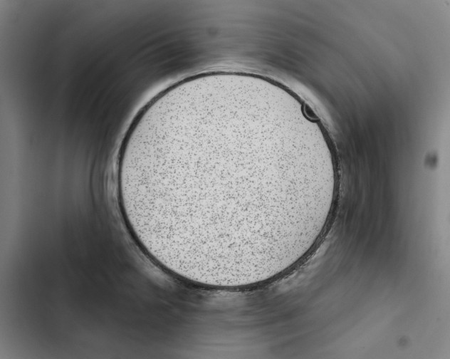 X0000102361238200808291217