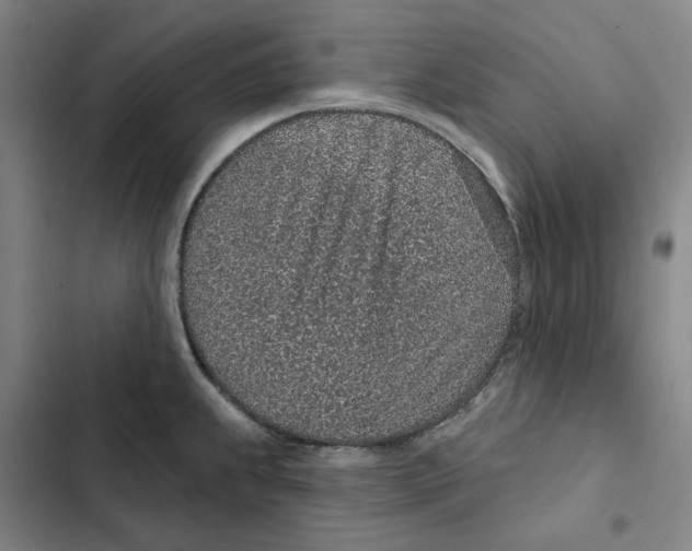 X0000102361239200808291217