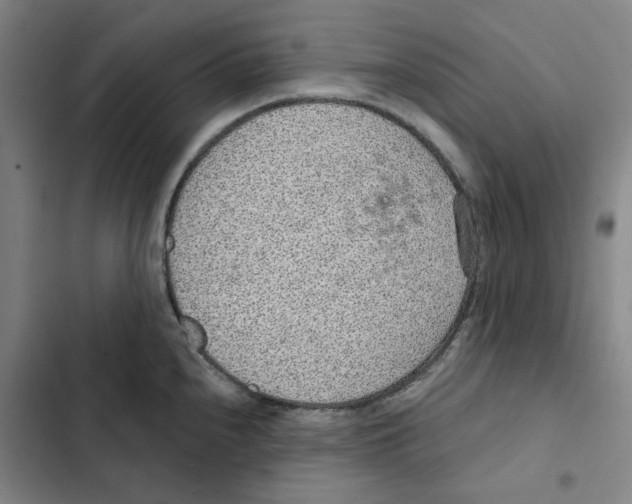 X0000102361240200808291217