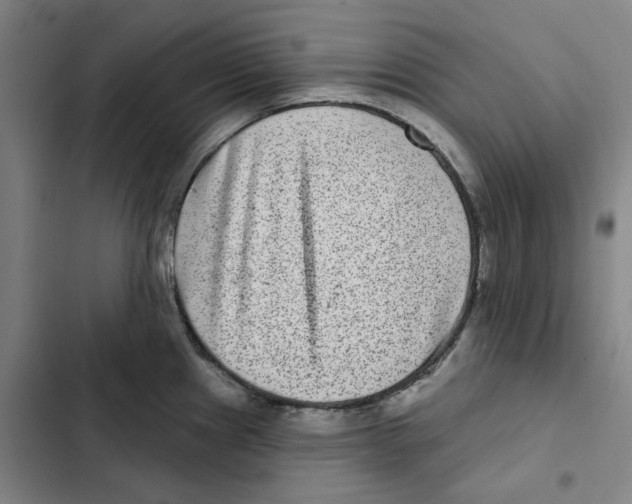 X0000102361241200808291217