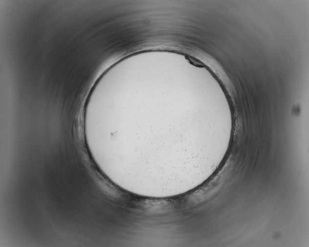 X0000102361242200808291217