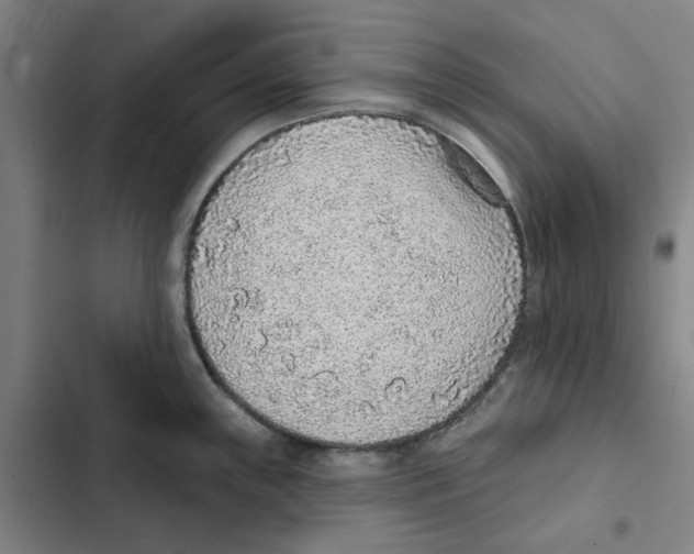 X0000102361243200808291217