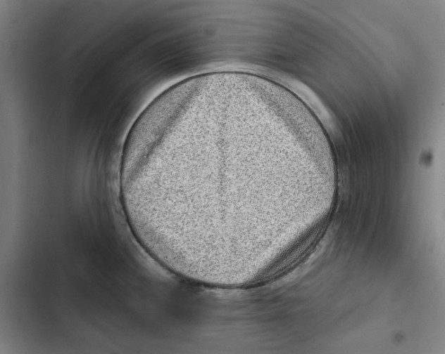 X0000102361244200808291217