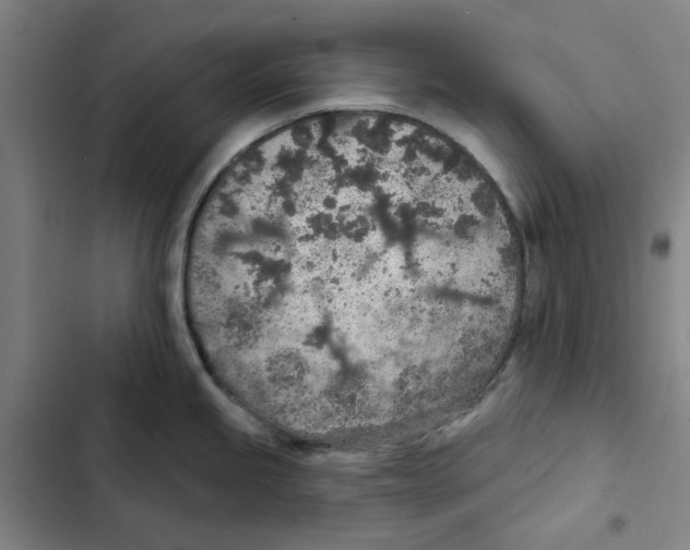 X0000102361245200808291217