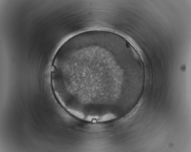 X0000102361246200808291217