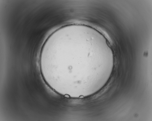 X0000102361247200808291217