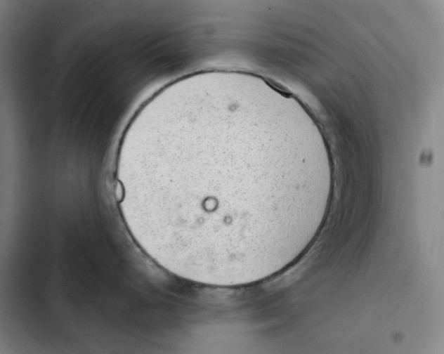 X0000102361248200808291217