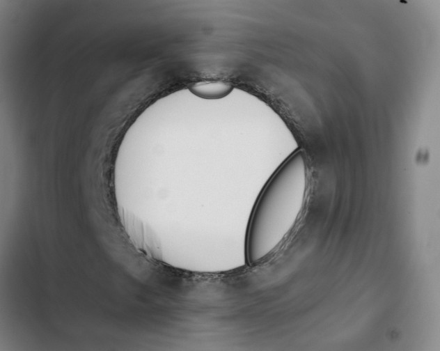 X0000102361249200808291217