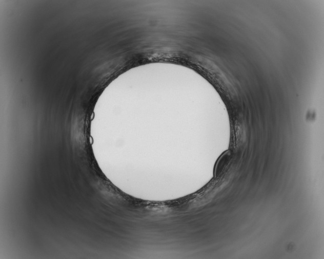 X0000102361250200808291217