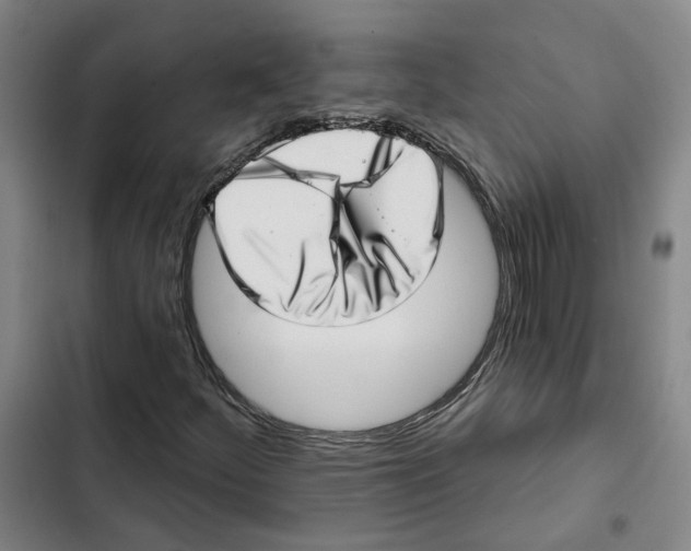 X0000102361252200808291217