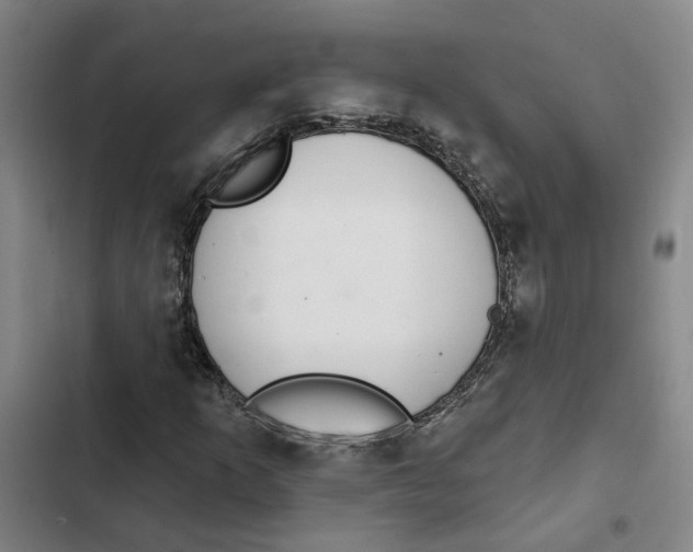 X0000102361253200808291217