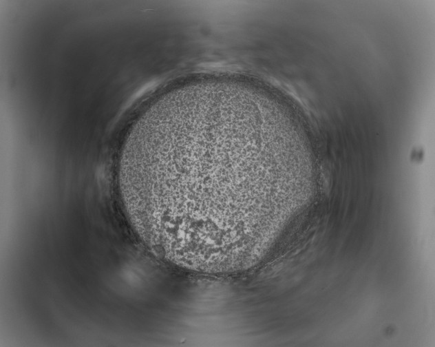 X0000102361254200808291217