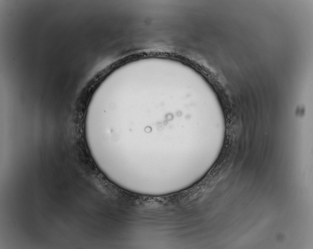 X0000102361255200808291217