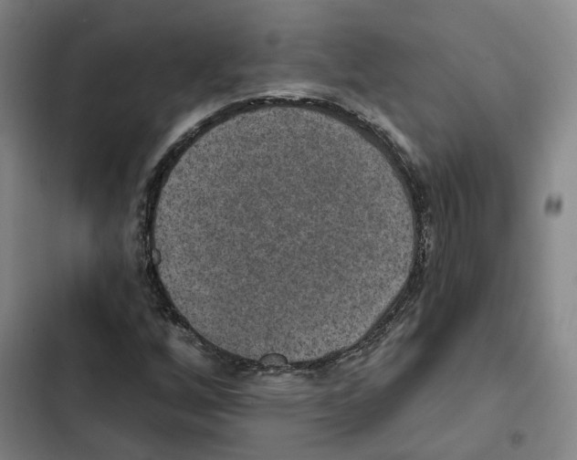 X0000102361256200808291216