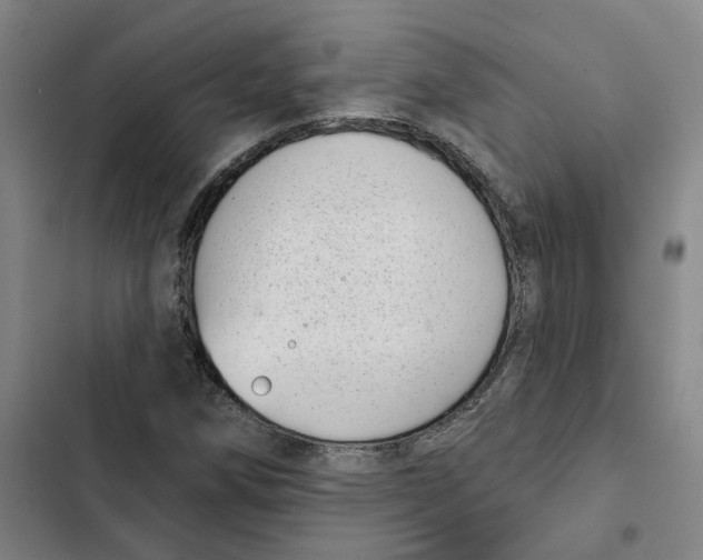 X0000102361258200808291216