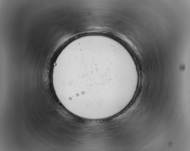 X0000102361259200808291216