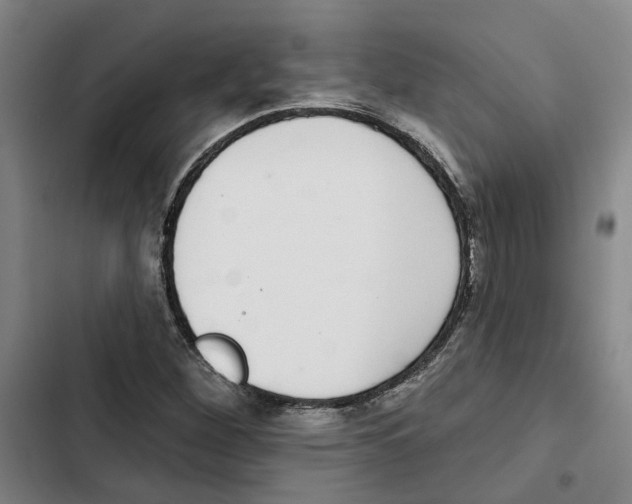 X0000102361260200808291216