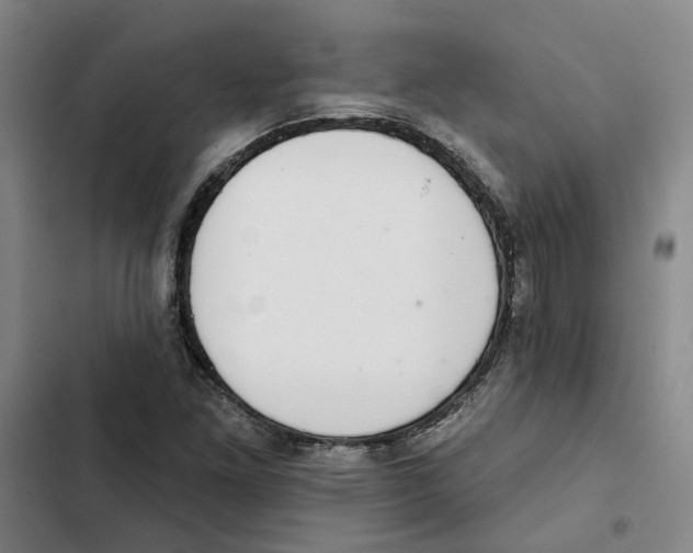 X0000102361261200808291216