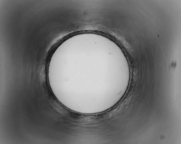 X0000102361262200808291216