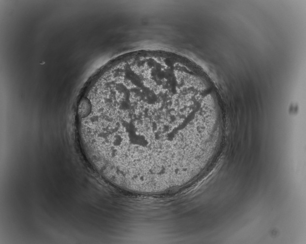 X0000102361263200808291216