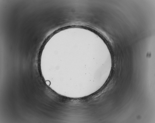 X0000102361264200808291216