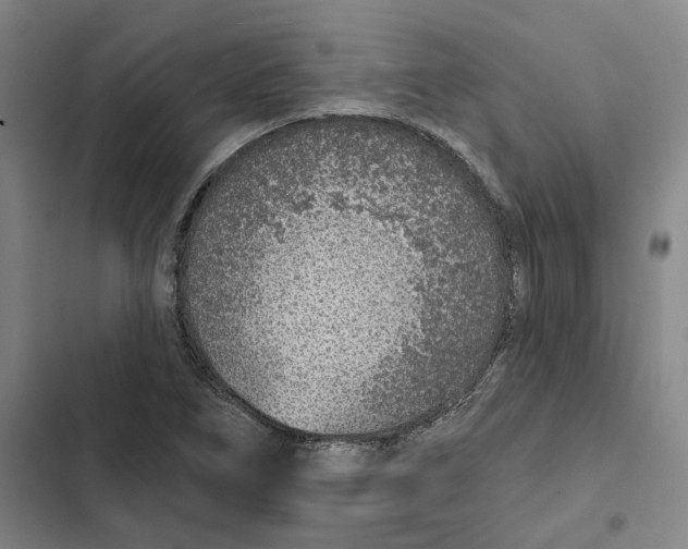 X0000102361266200808291216