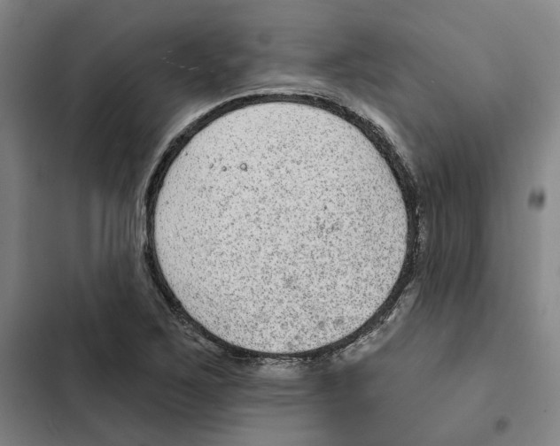 X0000102361267200808291216