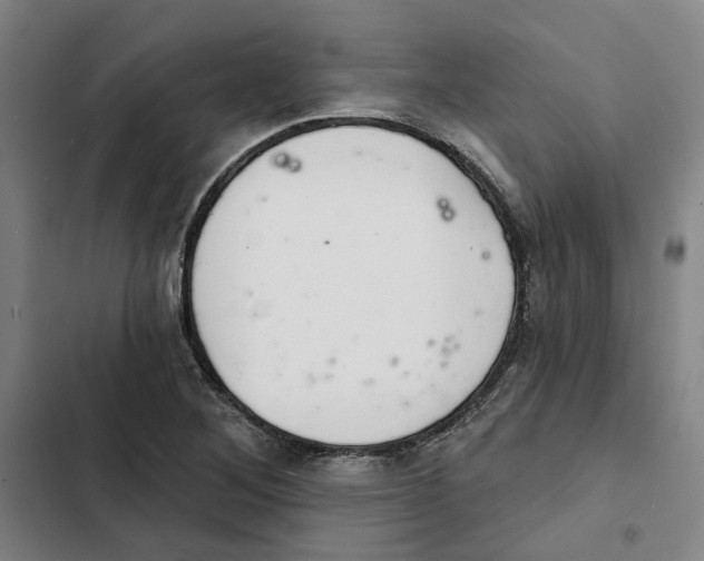 X0000102361268200808291216