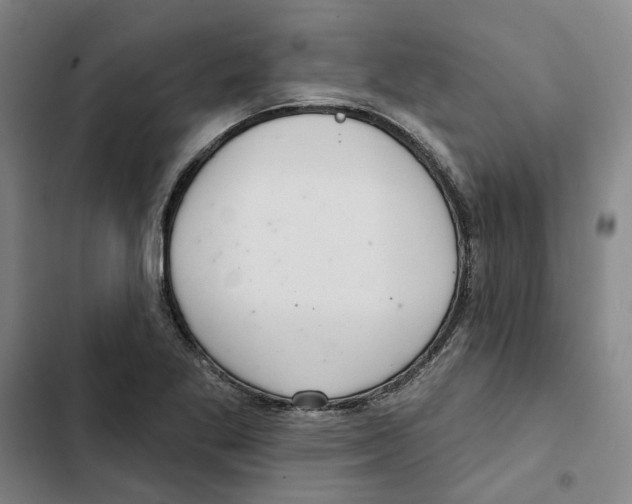 X0000102361269200808291216