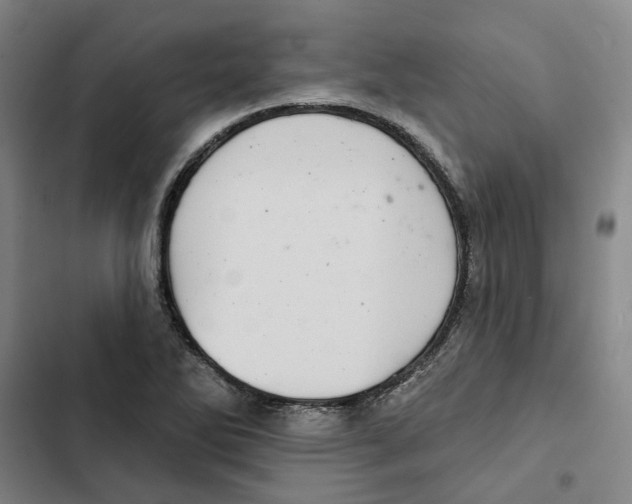 X0000102361270200808291216