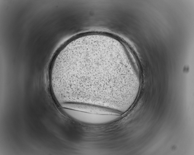 X0000102361271200808291216